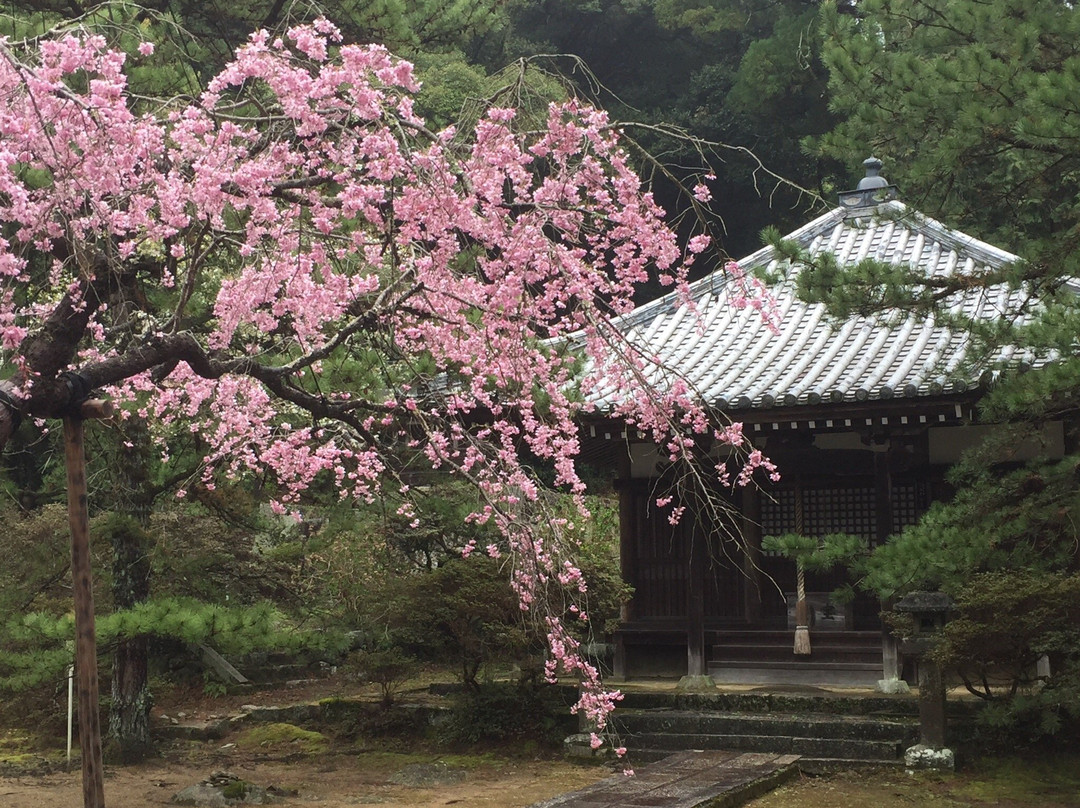 Hirokawa-dera Temple-河南町必去景点