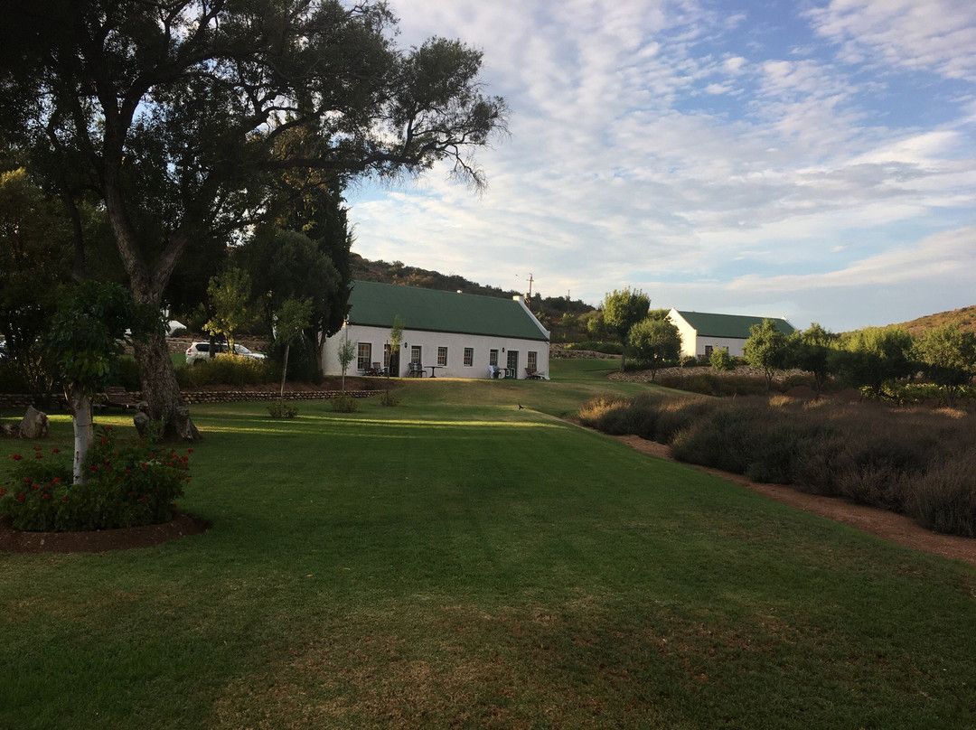 Calitzdorp酒店住宿-Red Mountain Nature Reserve