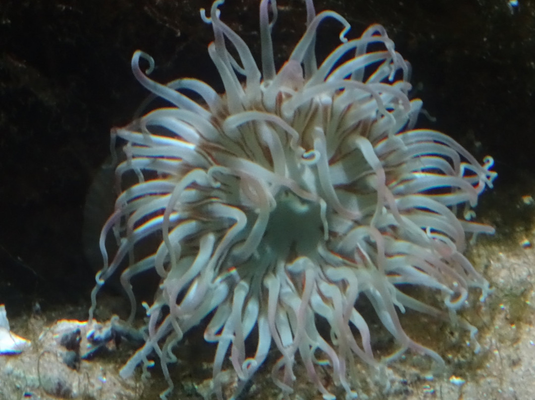 Nationaal Park Oosterschelde-Colijnsplaat必去景点