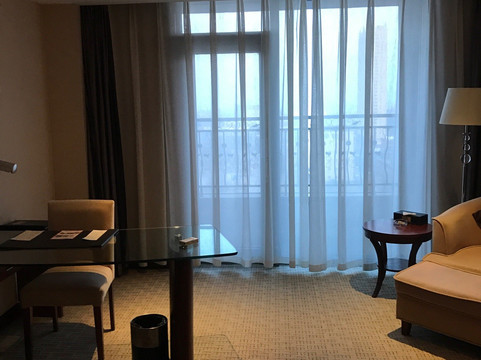 高密维景国际大酒店主图