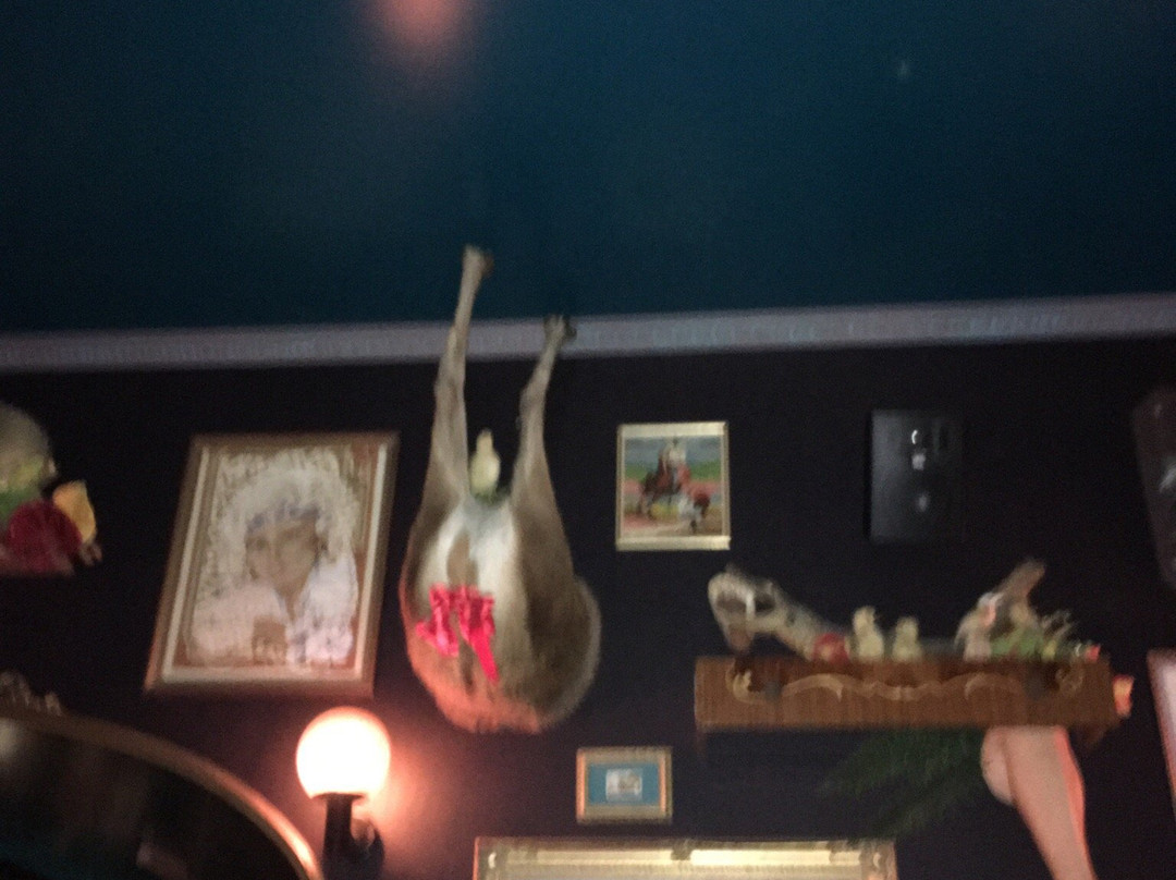 The Bearded Tit-悉尼必去景点