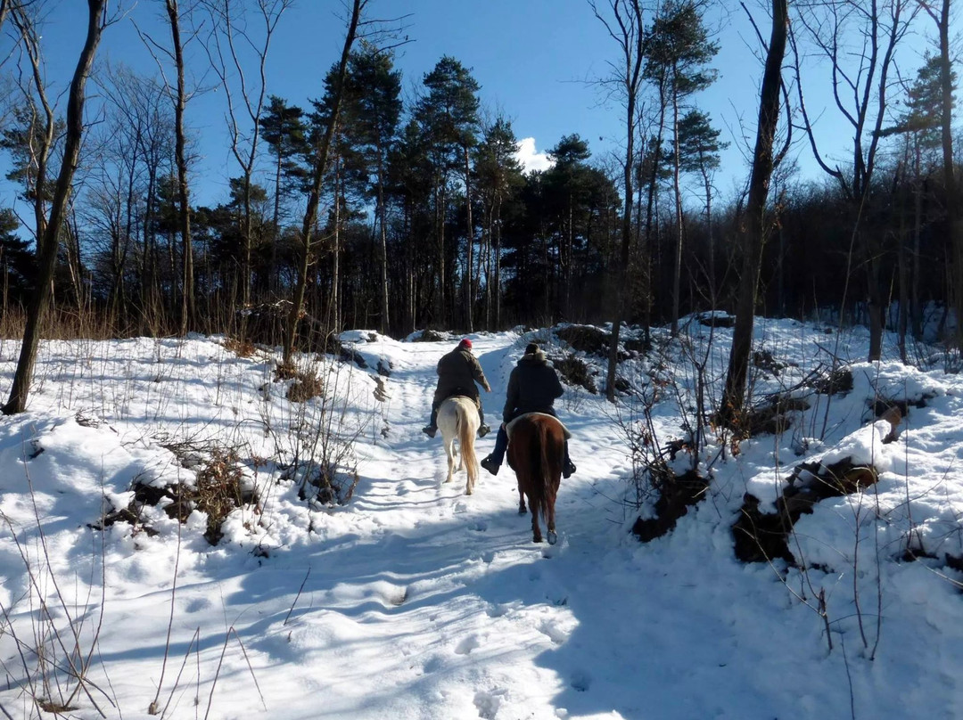 Rio Selvatico Ranch-Dego必去景点