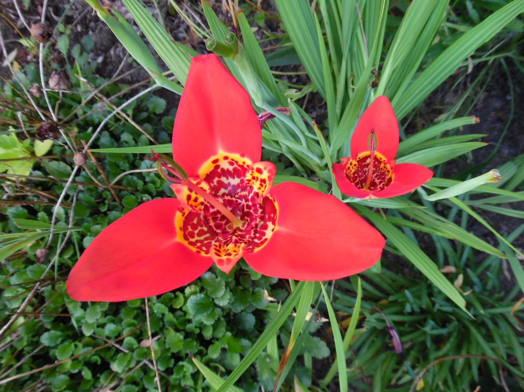 Toad Hall Guest House主图