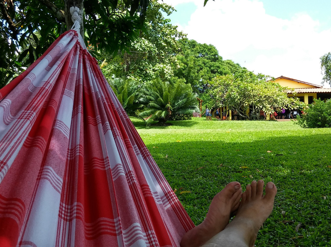 Engenho Cachoeira-Gameleira必去景点