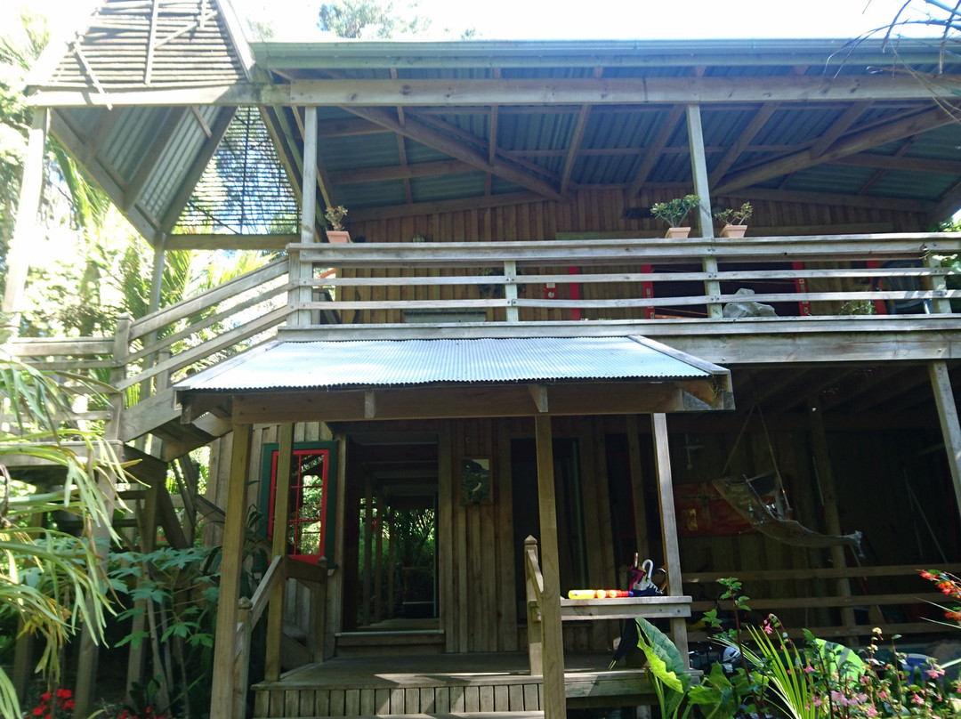 The Tree House