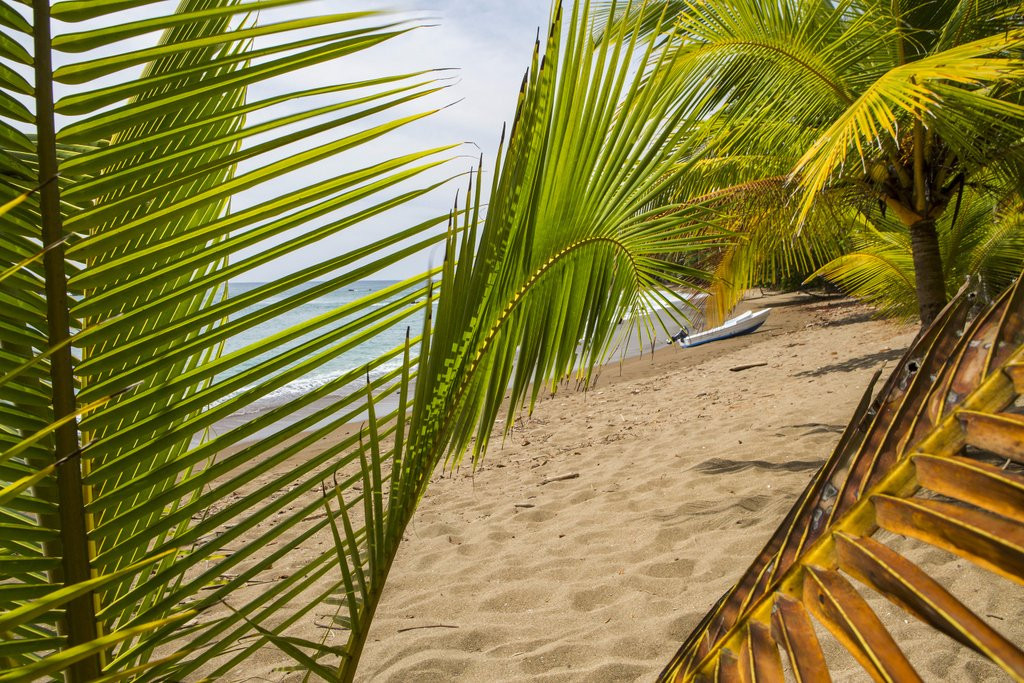 Costa Rica Green Adventures景点图片