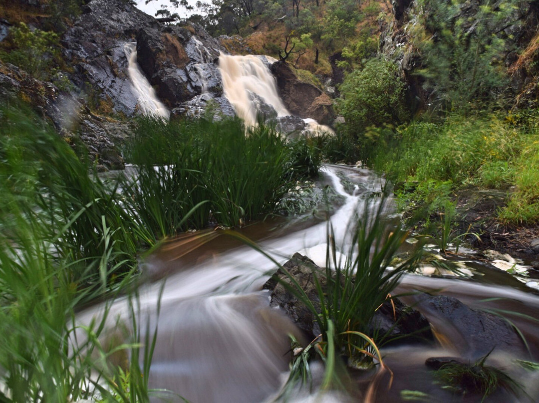Hindmarsh Falls景点图片
