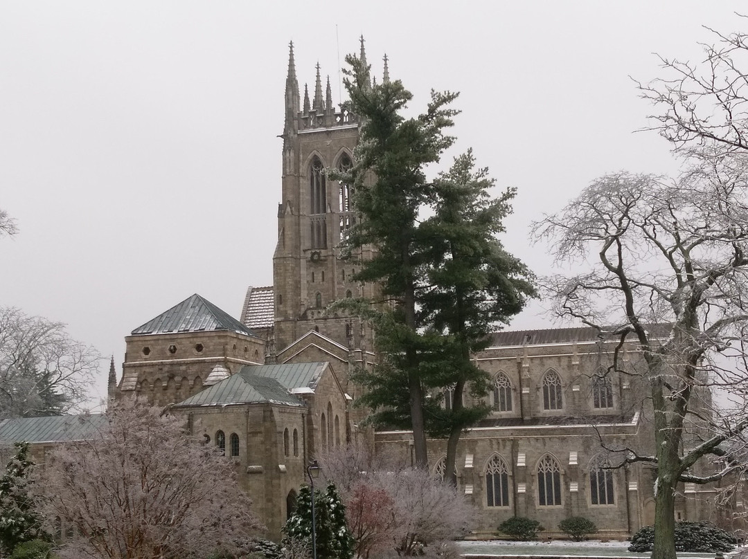 Bryn Athyn Cathedral景点图片