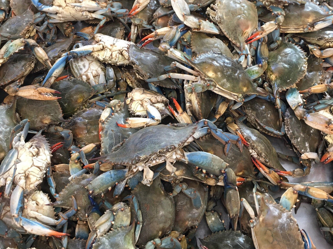 Rose's Seafood, Inc.-Seabrook必去景点