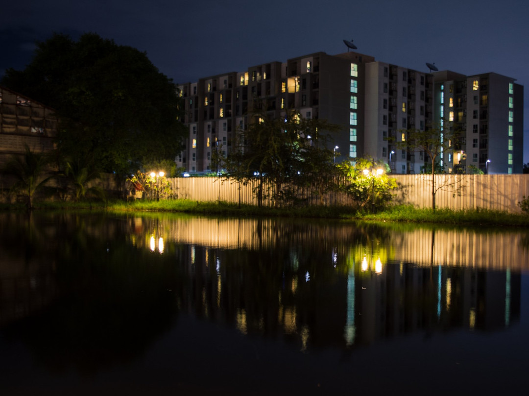 空銮餐馆和美食-Swan Lake Cuisine