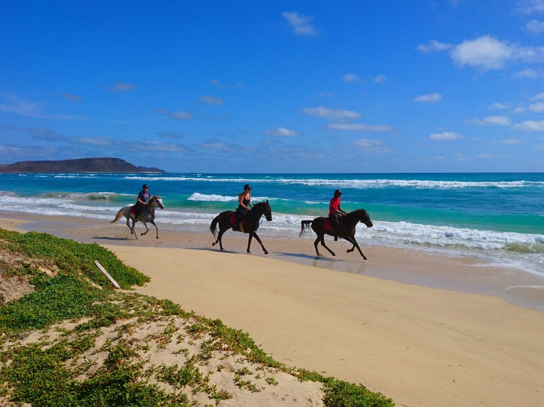 Santa Marilha Horse Excursions景点图片