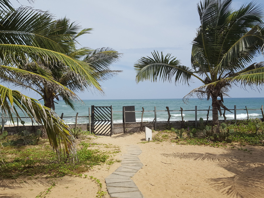 Stardust Beach Hotel主图