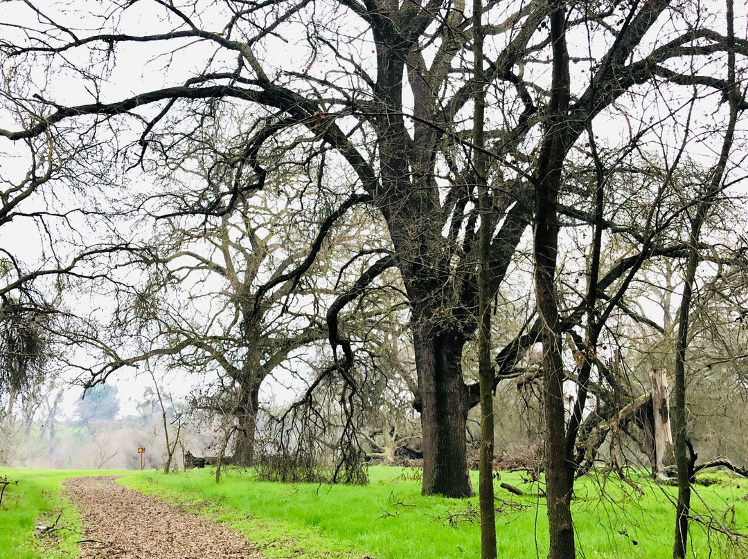 McConnell State Recreation Area-Ballico必去景点