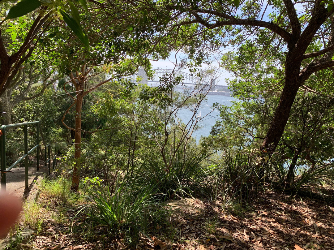 Balls Head Reserve景点图片