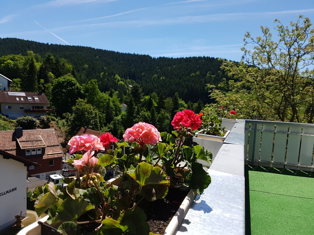 Hotel-Pension Jägerstieg主图