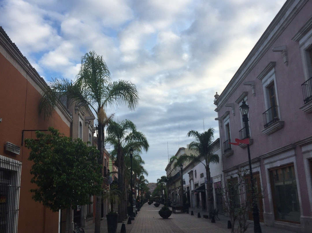 Calle Constitucion-Durango必去景点