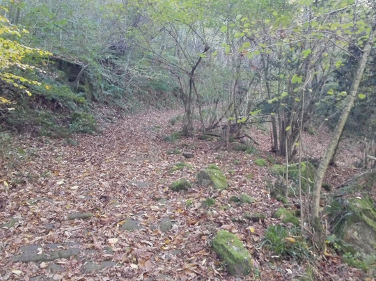 Calzada Romana-Barcena de Pie de Concha必去景点