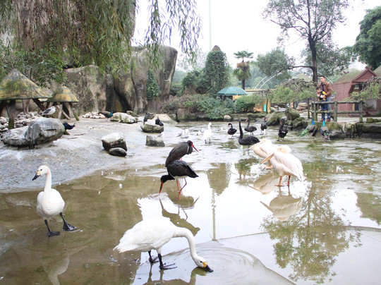 塔子山公园-成都必去景点