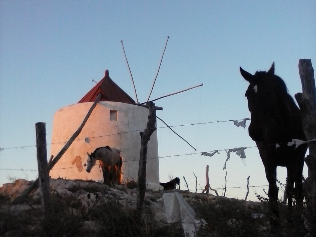 Molinos de Viento景点图片