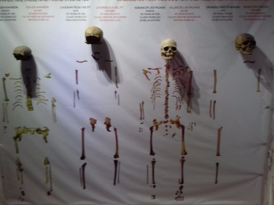 Museo de la Prehistoria Parque Dos Ojos-图伦必去景点