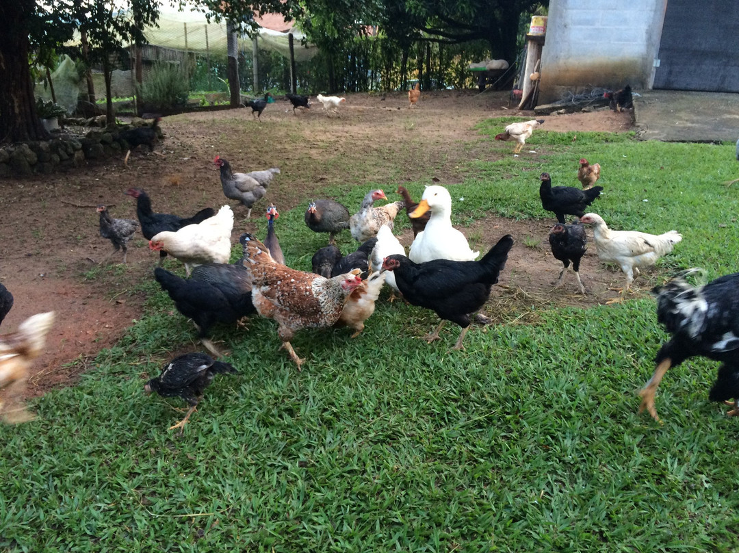 Sitio Paulista-Braganca Paulista必去景点