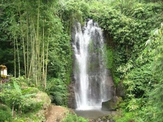 Swis Bali Tour景点图片