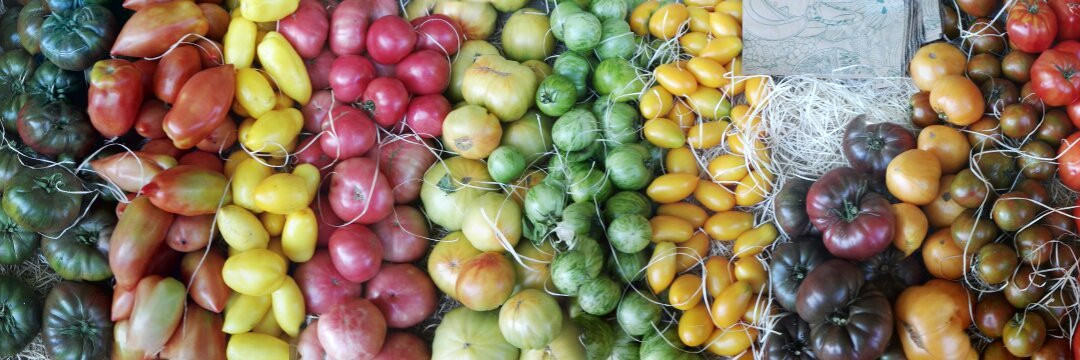 Marche Provencal-Bedoin必去景点