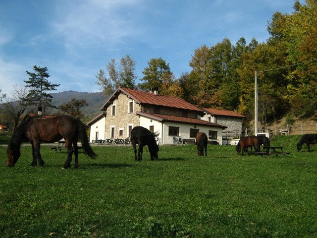 Agriturismo Carovane