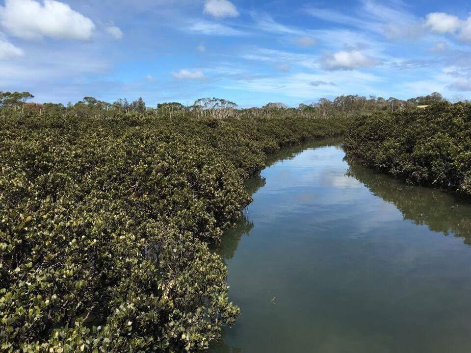 Rhyll Inlet State Wildlife Reserve景点图片