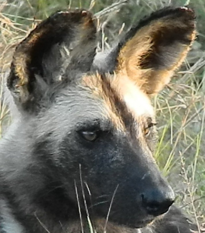 Bundu Enterprises-玛洛斯帕克必去景点