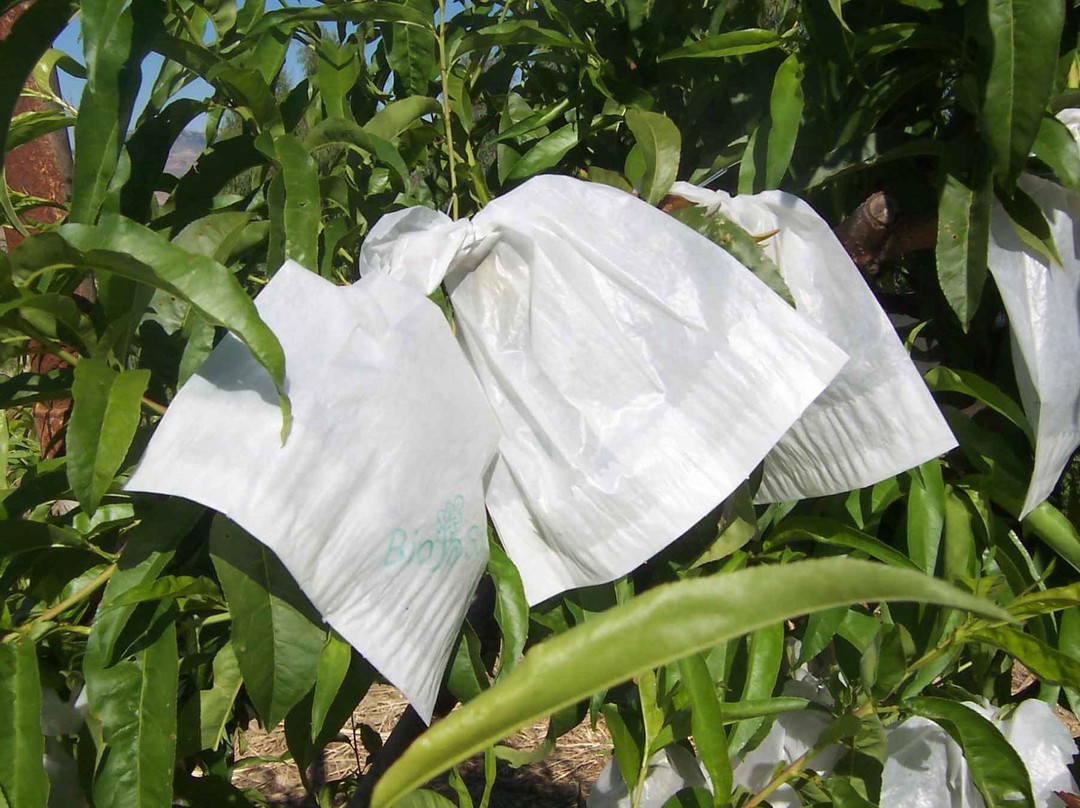 Azienda agricola Samperi景点图片