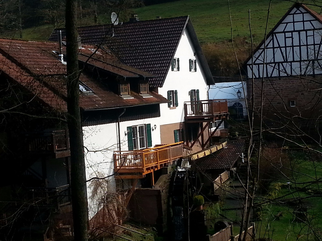 Billigheim餐馆和美食-Landgasthof Heidersbacher Muehle