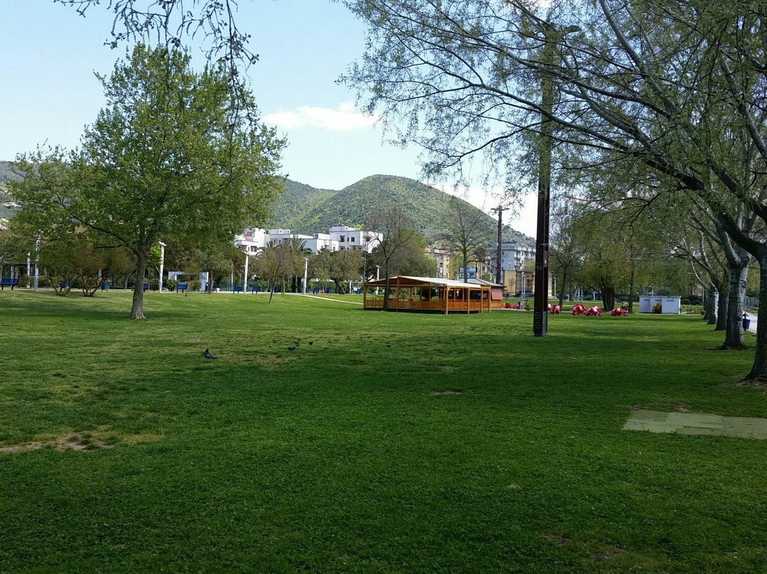 Parco del Mercatello景点图片