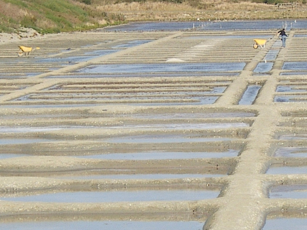 Salines de Millac景点图片