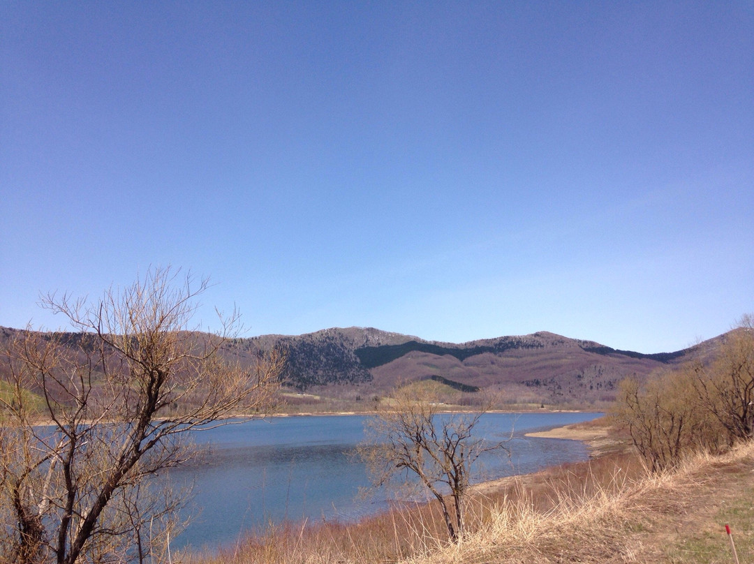 Lake Kanayama-南富良野町必去景点