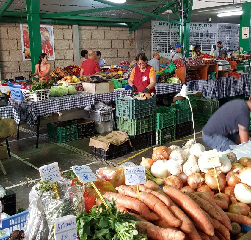 El Medano旅游景点-Mercado del Agricultor El Medano