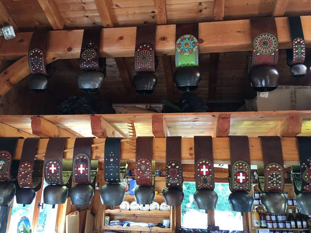 Les Chalets d'Oche景点图片