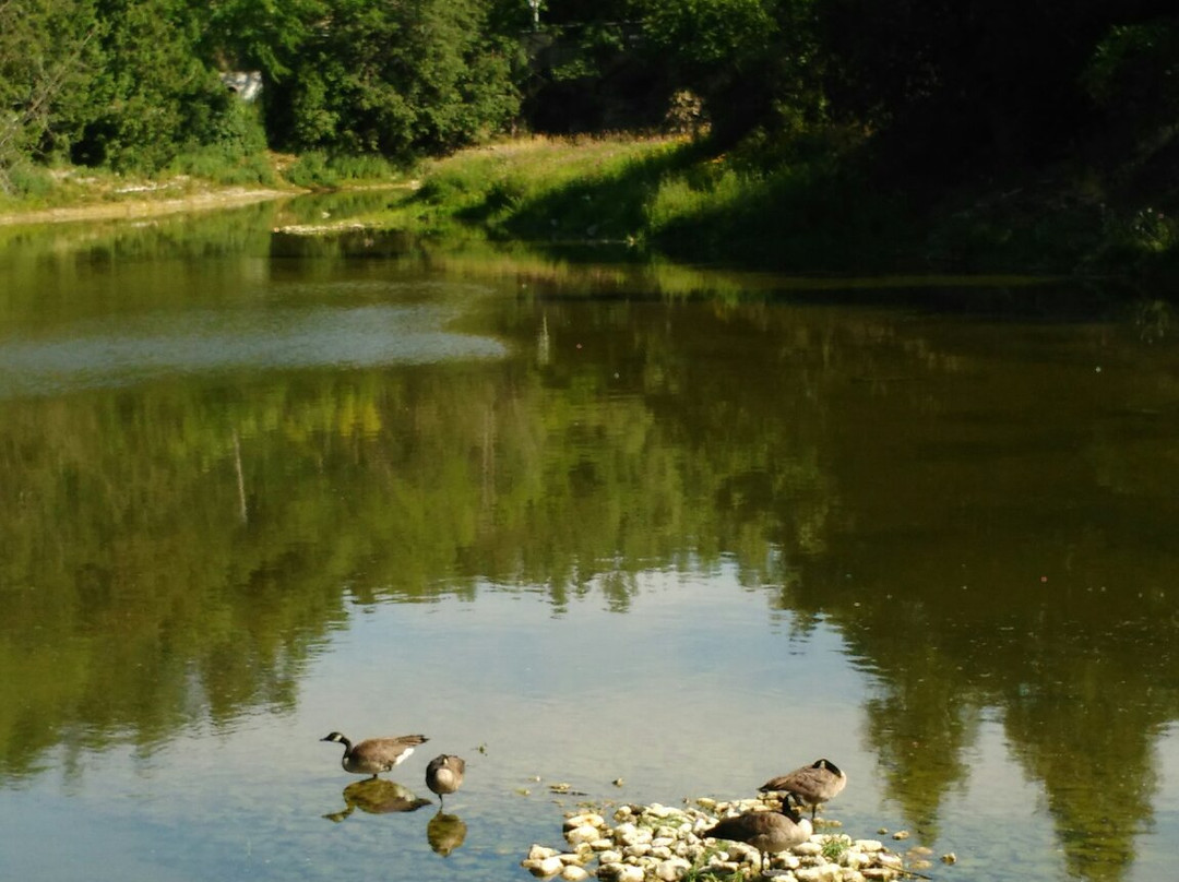 Veteran's Park-伊劳拉必去景点