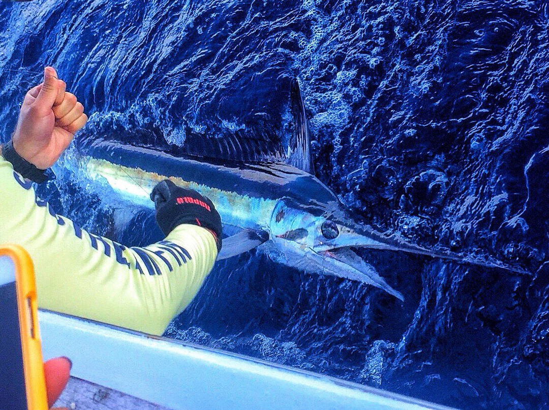 Boynton Beach Fishing Charter-博因顿海滩必去景点