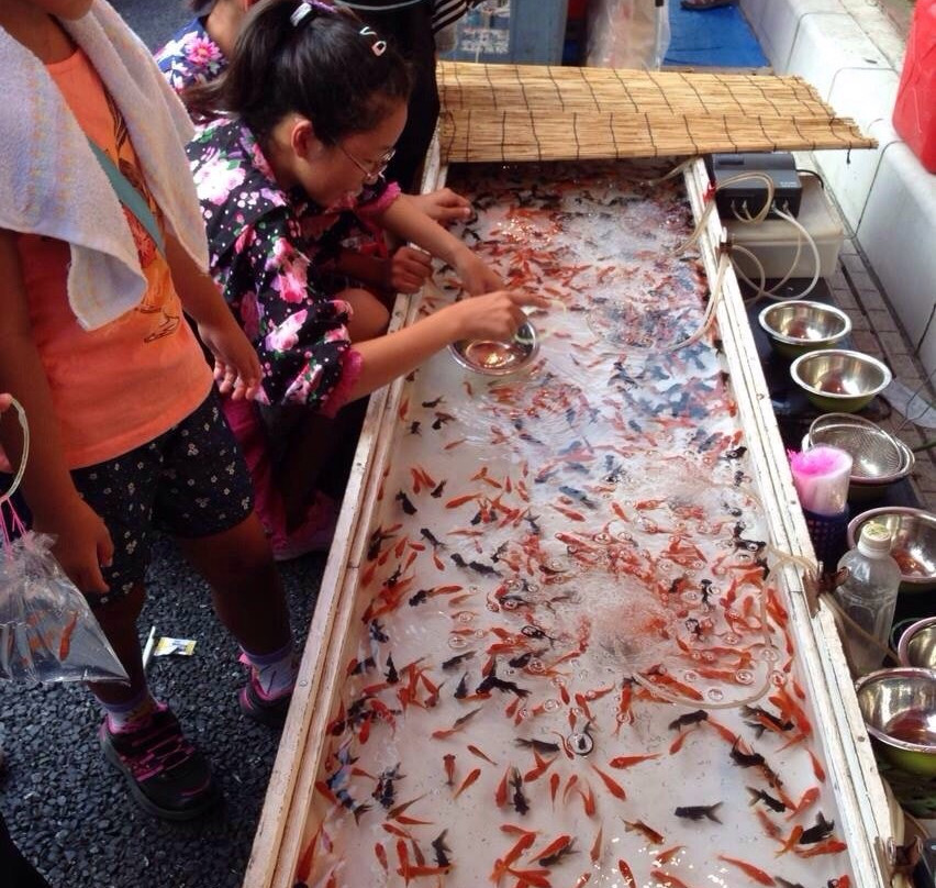 Ogawamachi Tanabata Matsuri-小川町必去景点