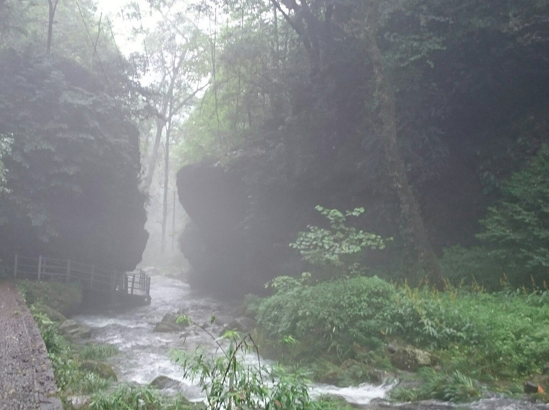 小溪保护区景点图片