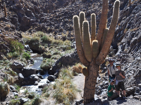 Apacheta Travel-圣佩德罗-德阿塔卡马必去景点
