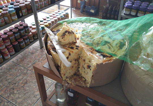 Cervejaria Kraemerfass-Delfim Moreira必去景点