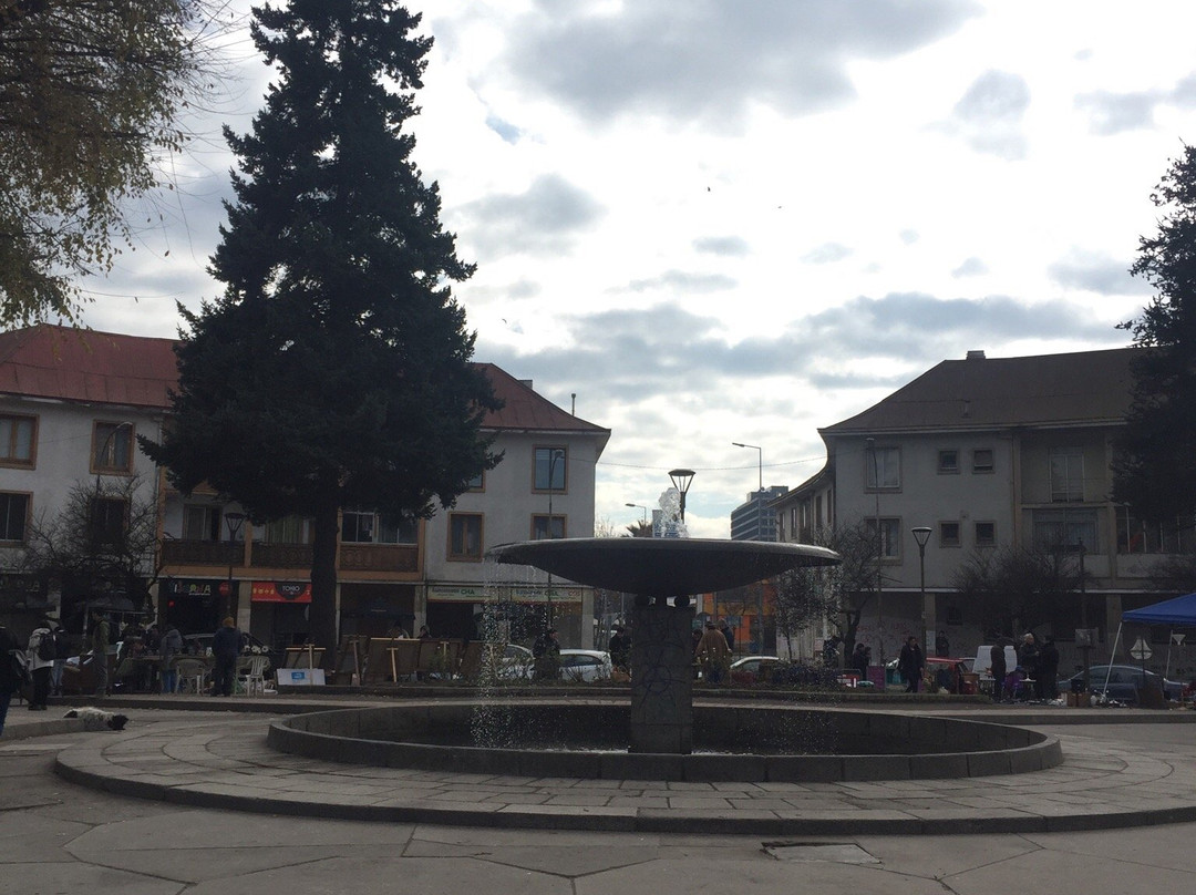 Plaza Peru-康塞普西翁必去景点