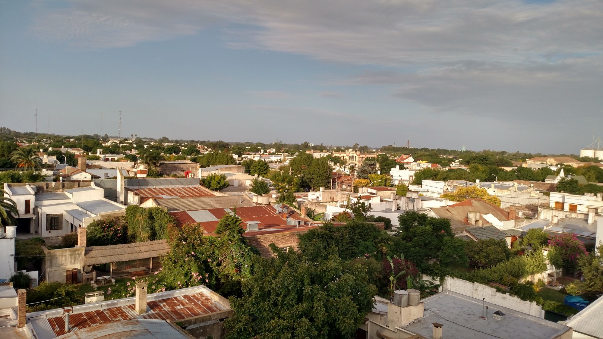 Hotel Los Nogales-酒店景观