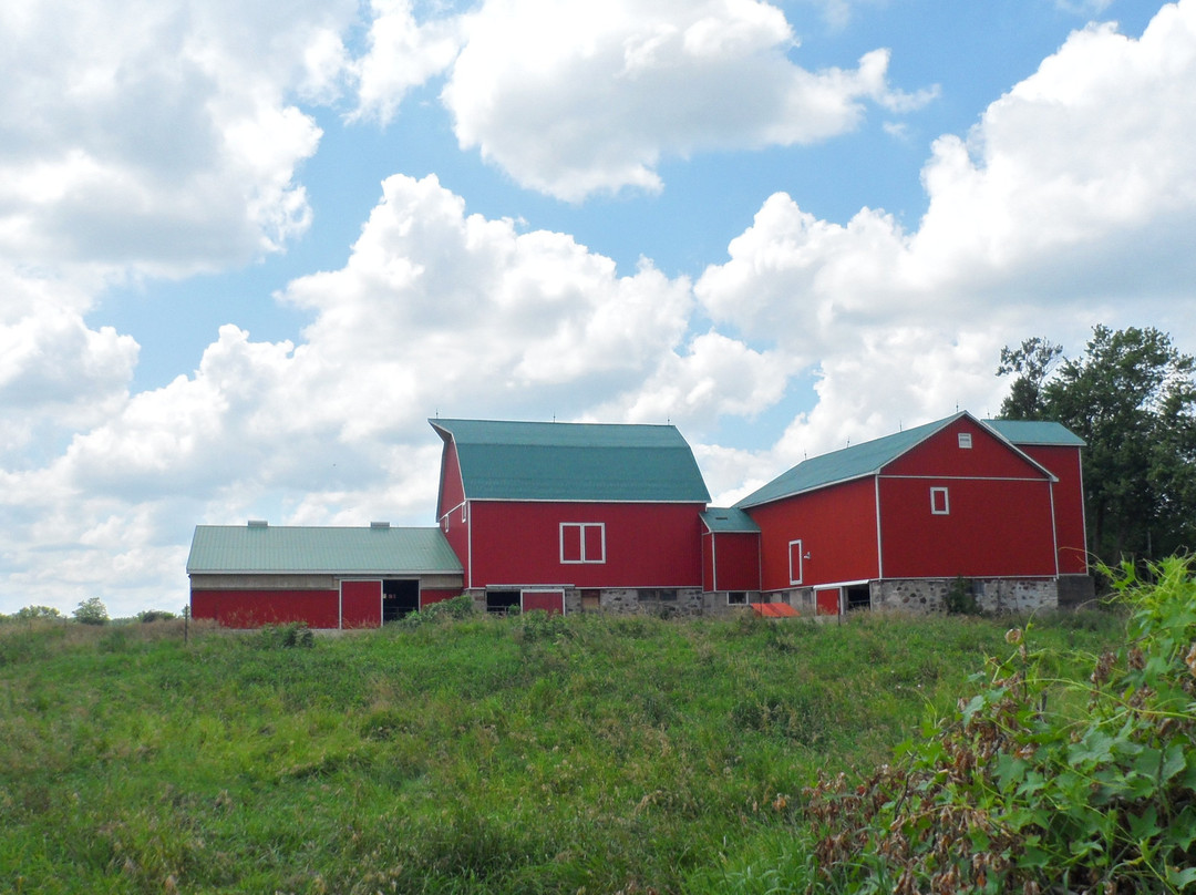 Transvaal Farm Guest House主图