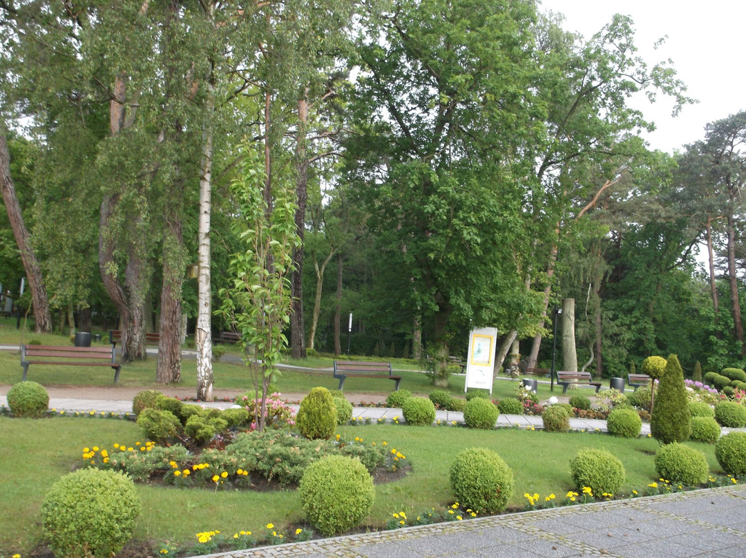 Park Przyjaciół Pustkowa景点图片