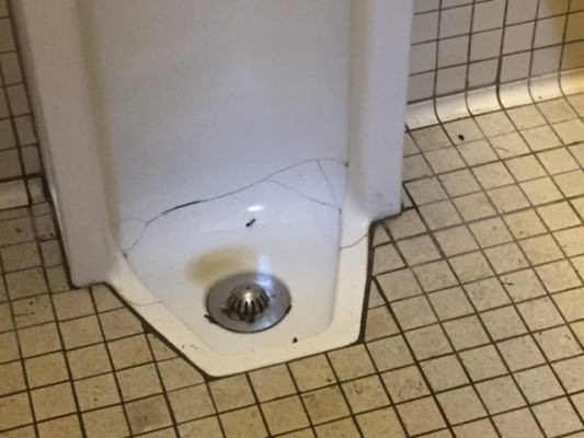 Silver Springs Campground-Enumclaw必去景点