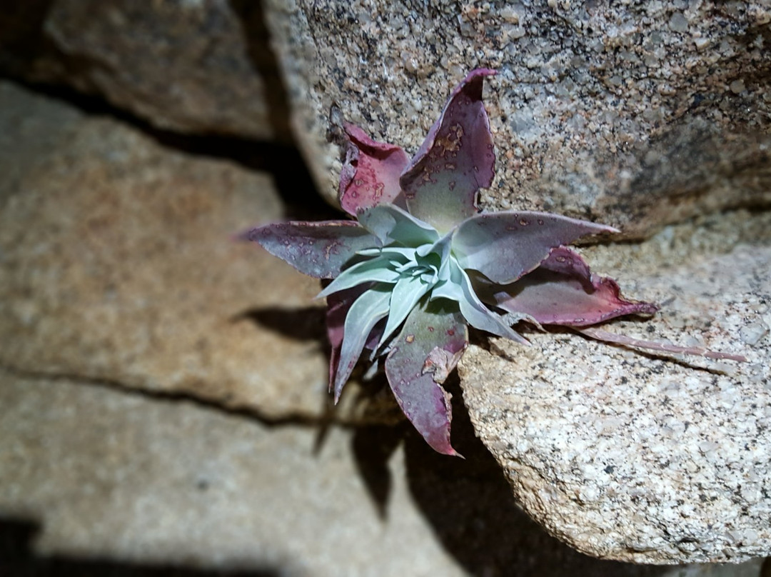 Ghost Mountain-波瑞戈泉必去景点