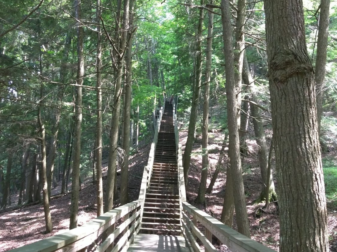 Lumberman's Monument Park景点图片